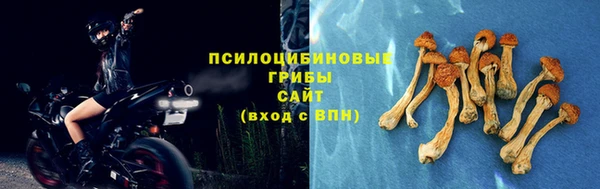 ECSTASY Козловка